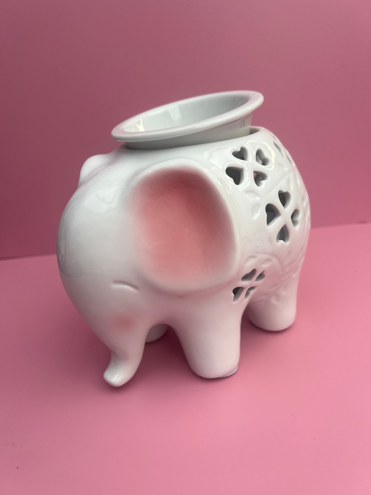 Elephant Electric Burner